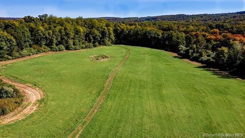 Vacant Land For Sale - 225 Route 22<br/> Pawling, NY 12564