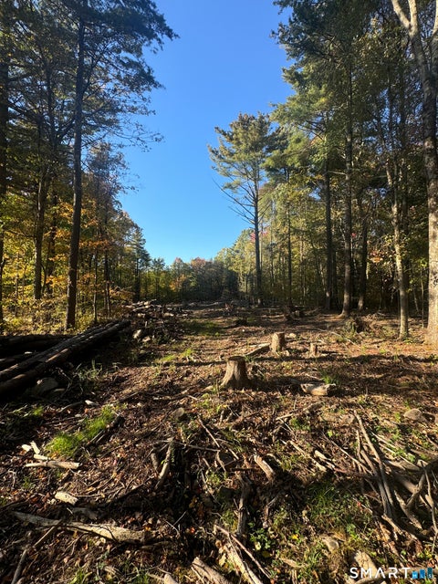 Photo of Lot 9 Red Fox Run, Canton, CT 06019 (MLS # 24211729)