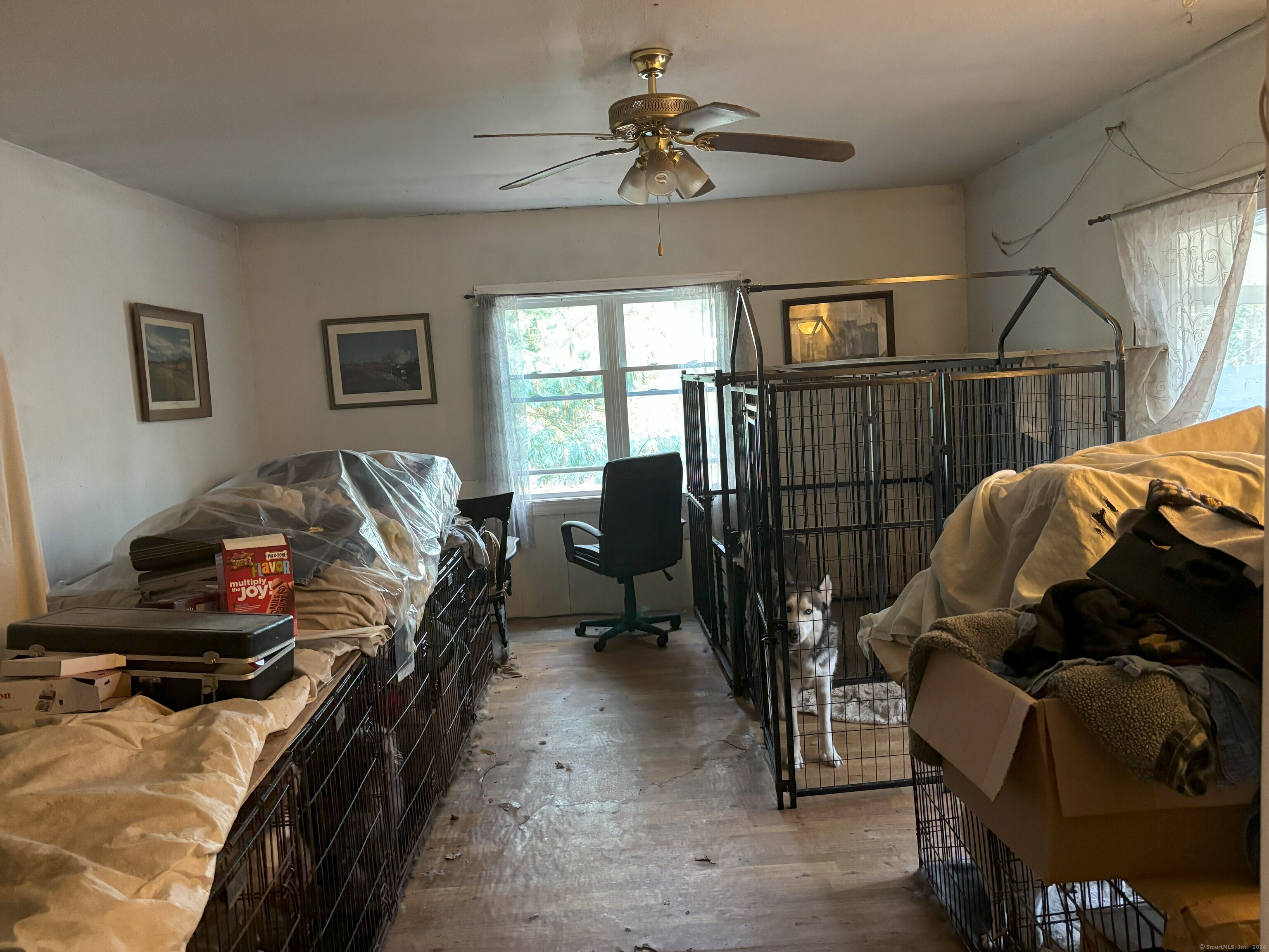 51 Woody Lane, West Haven, Connecticut image 10