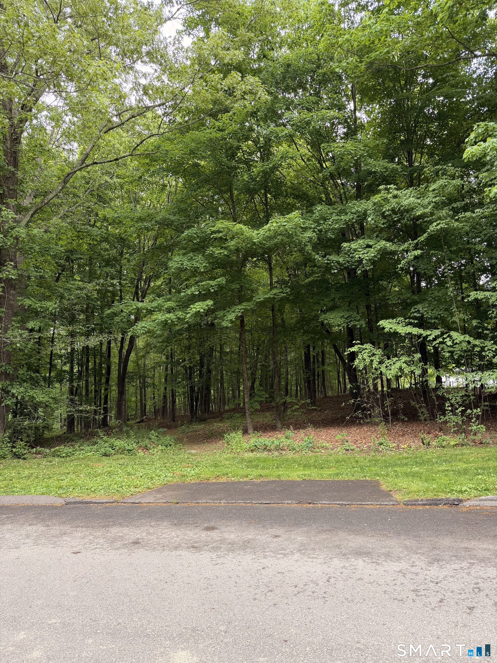 8 Sugar Maple Lane
