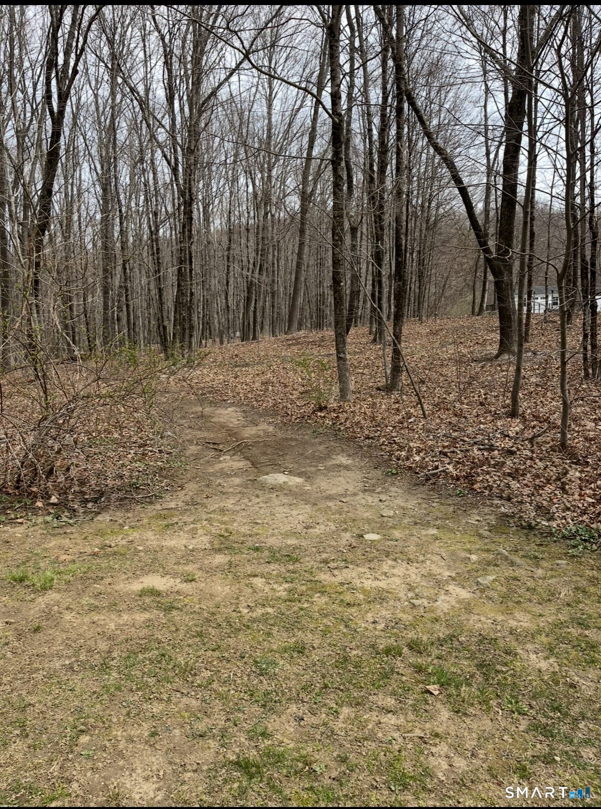 8 Sugar Maple Lane
