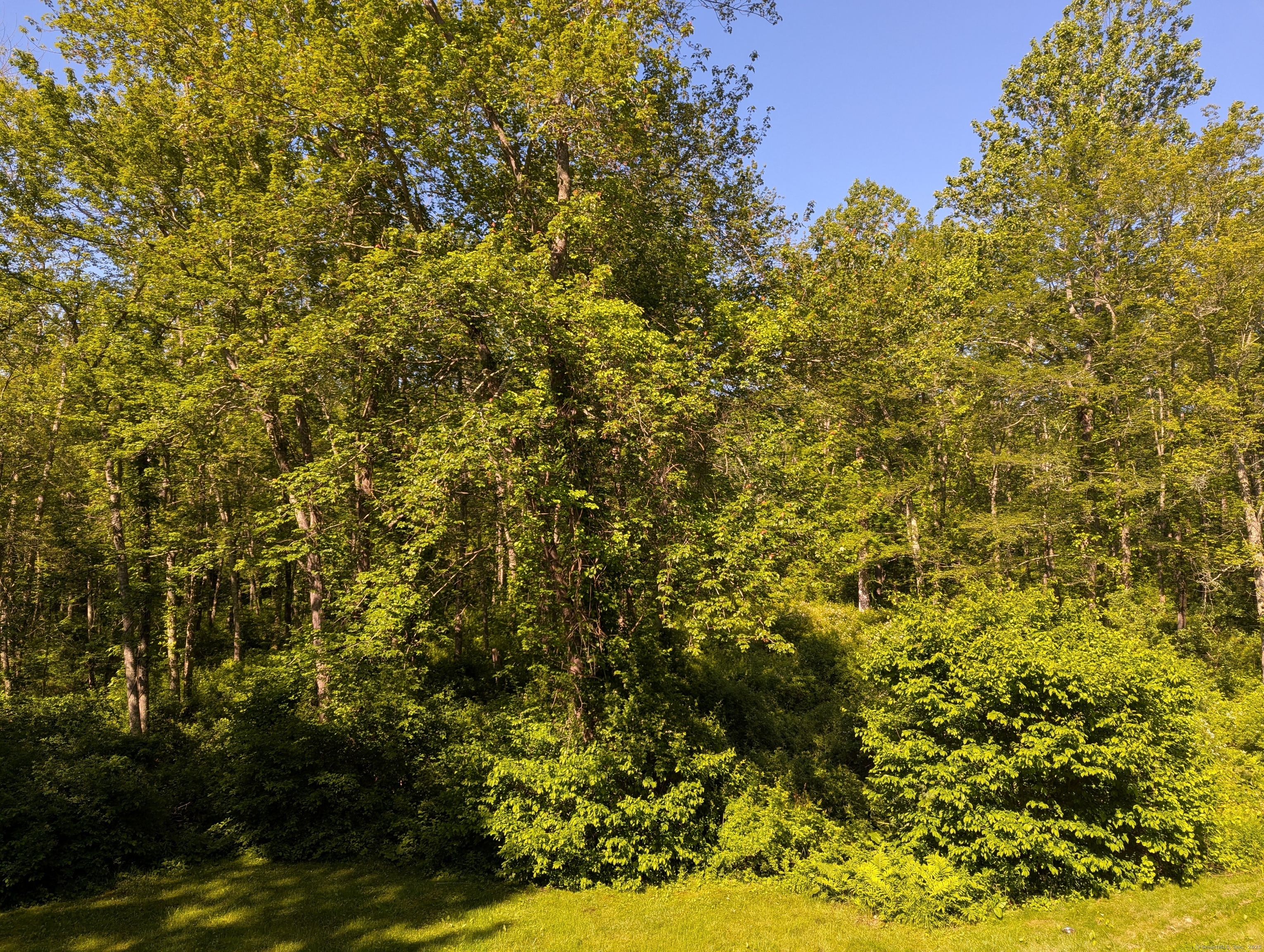 51 Isleib Road, Marlborough, Connecticut image 35