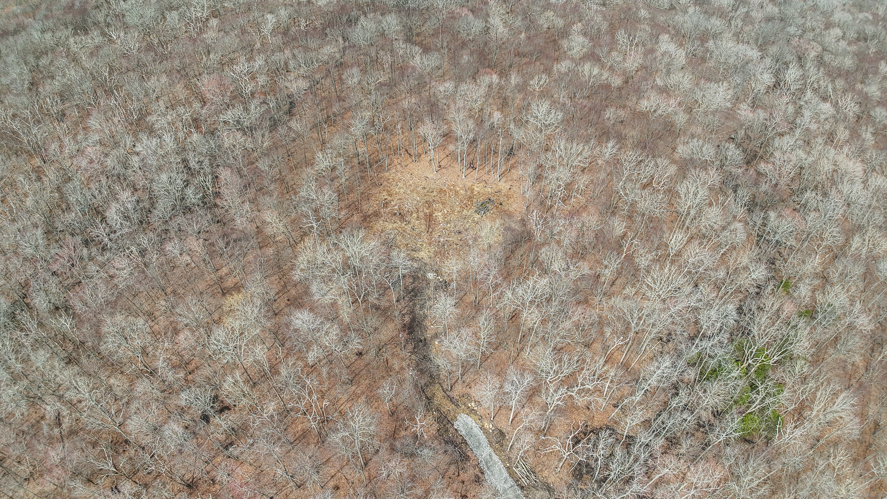 Lot 12-1 Tripp Hollow Road