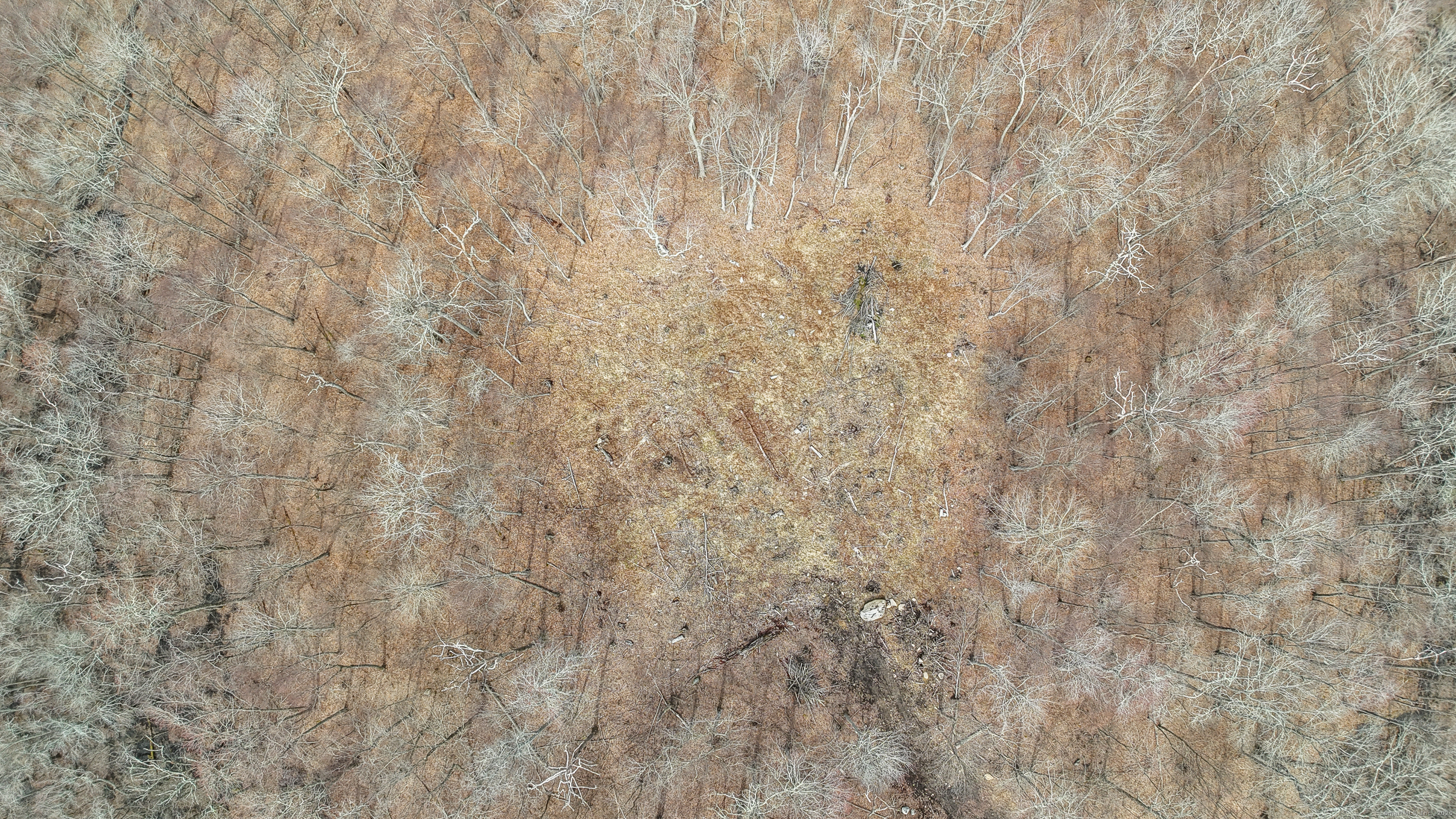 Lot 12-1 Tripp Hollow Road