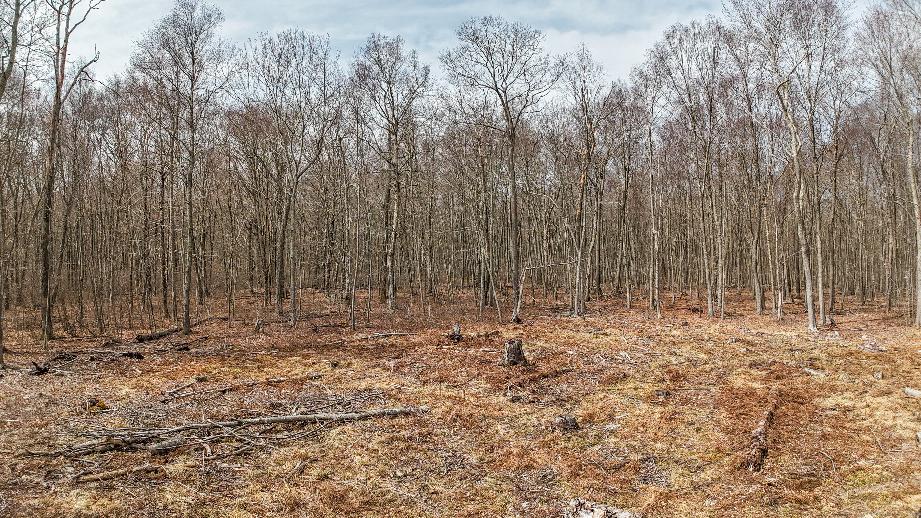 Lot 12-1 Tripp Hollow Road