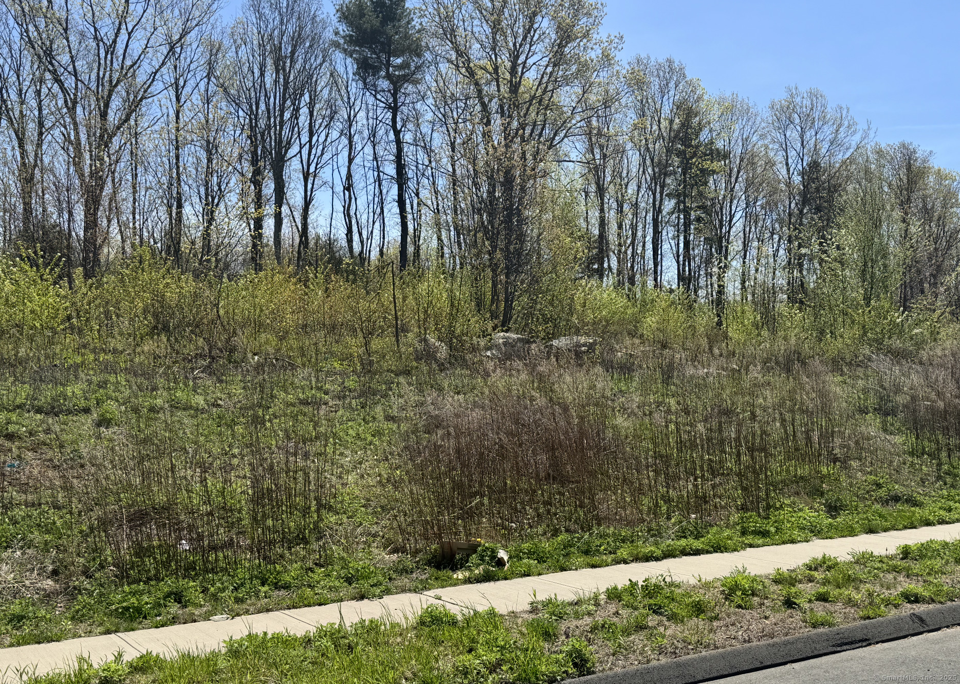 156 Corbin Ridge, Bristol, Connecticut image 2