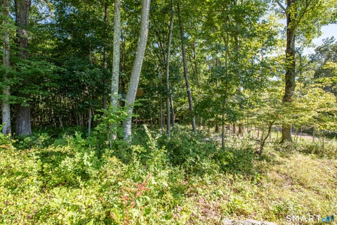 Tiny photo for 30 Carter Hill Road, Clinton, CT 06413 (MLS # 24199136)