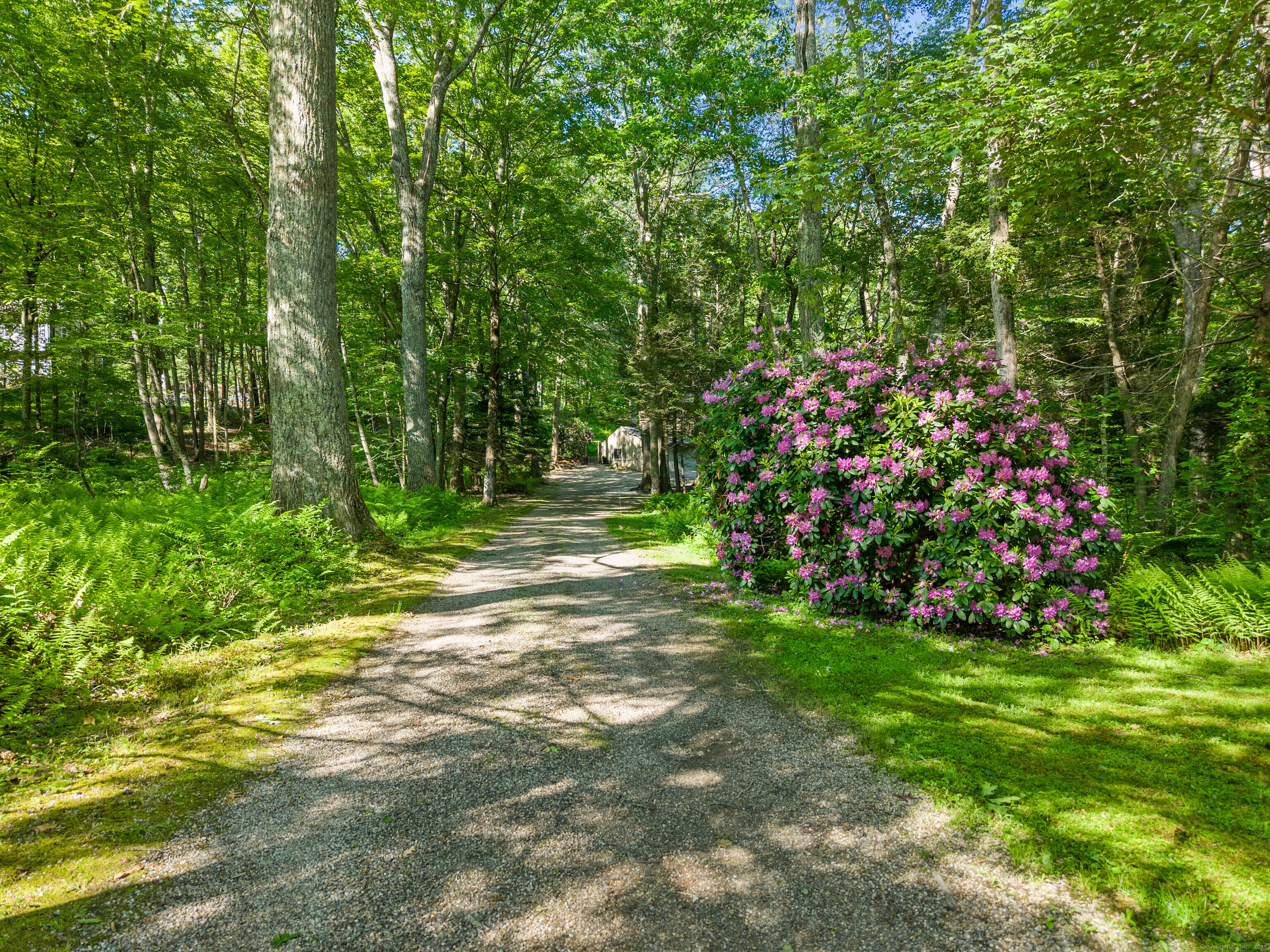 Madison, Connecticut 06443, United States, 3 Bedrooms Bedrooms, ,2 BathroomsBathrooms,Residential,Active,147390