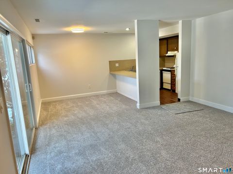 Tiny photo for 229 Bacon Pond Road #312, Woodbury, CT 06798 (MLS # 24150943)