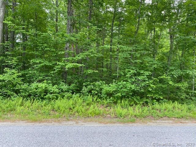 Photo 1 of 2 of Lot#1 Kitt Road land