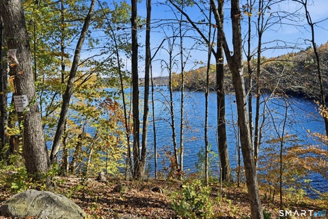 Tiny photo for 117 Alberts Hill Road, Newtown, CT 06482 (MLS # 24213394)