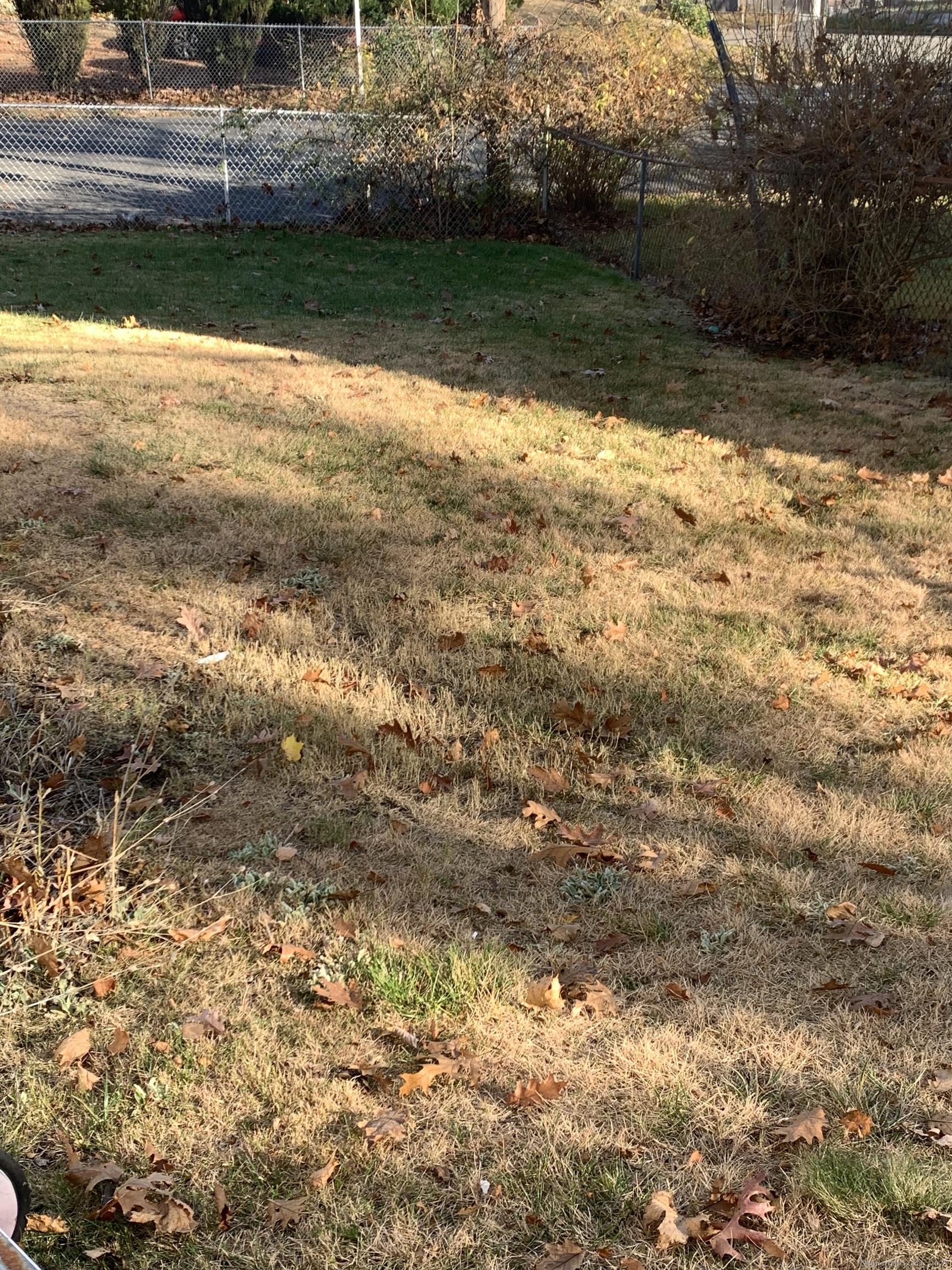 243 Sunshine Circle, Bridgeport, Connecticut image 34