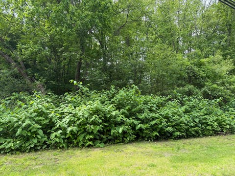 Vacant Land For Sale - 2 Sandra Avenue<br/> Litchfield County, Plymouth, CT 06786