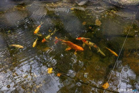 Tiny photo for 7 Hill Top Road, Morris, CT 06763 (MLS # 24152593)