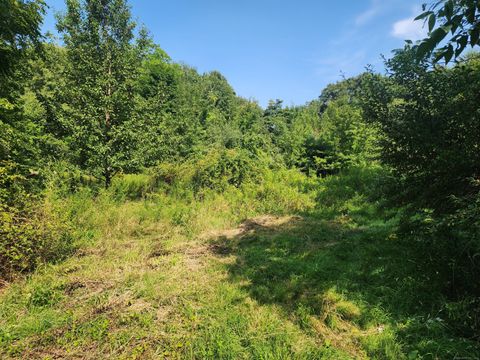 Tiny photo for 5 Avery St Extension, Norwich, CT 06360 (MLS # 24163834)