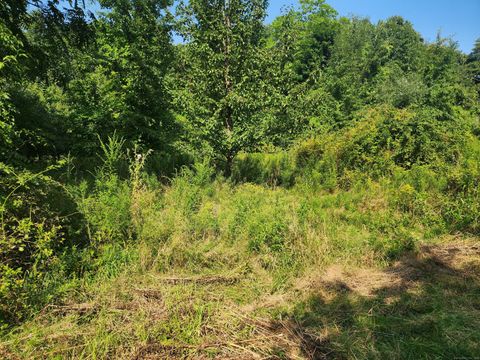 Tiny photo for 5 Avery St Extension, Norwich, CT 06360 (MLS # 24163834)