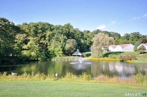 Tiny photo for 44 Elizabeth Circle #44, Newtown, CT 06482 (MLS # 24208328)