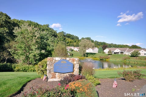 Tiny photo for 44 Elizabeth Circle #44, Newtown, CT 06482 (MLS # 24208328)