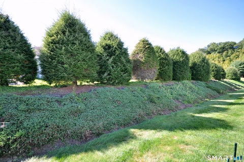 Tiny photo for 44 Elizabeth Circle #44, Newtown, CT 06482 (MLS # 24208328)