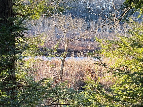 40 Pond Ridge Road, Goshen, Connecticut image 3