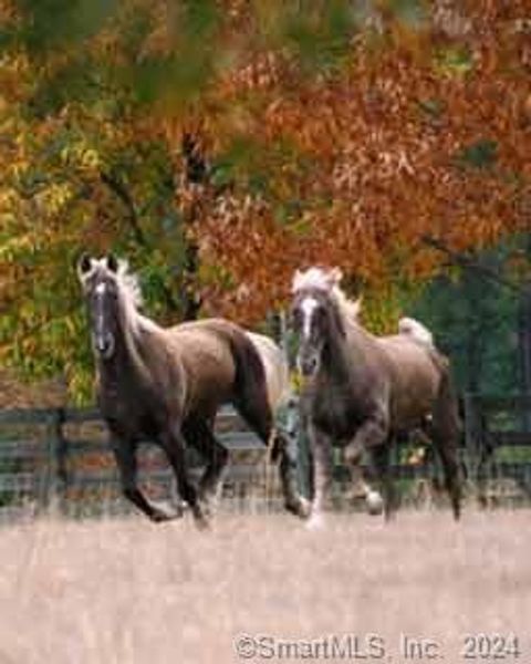 Tiny photo for 897 Sport Hill Road, Easton, CT 06612 (MLS # 170626307)