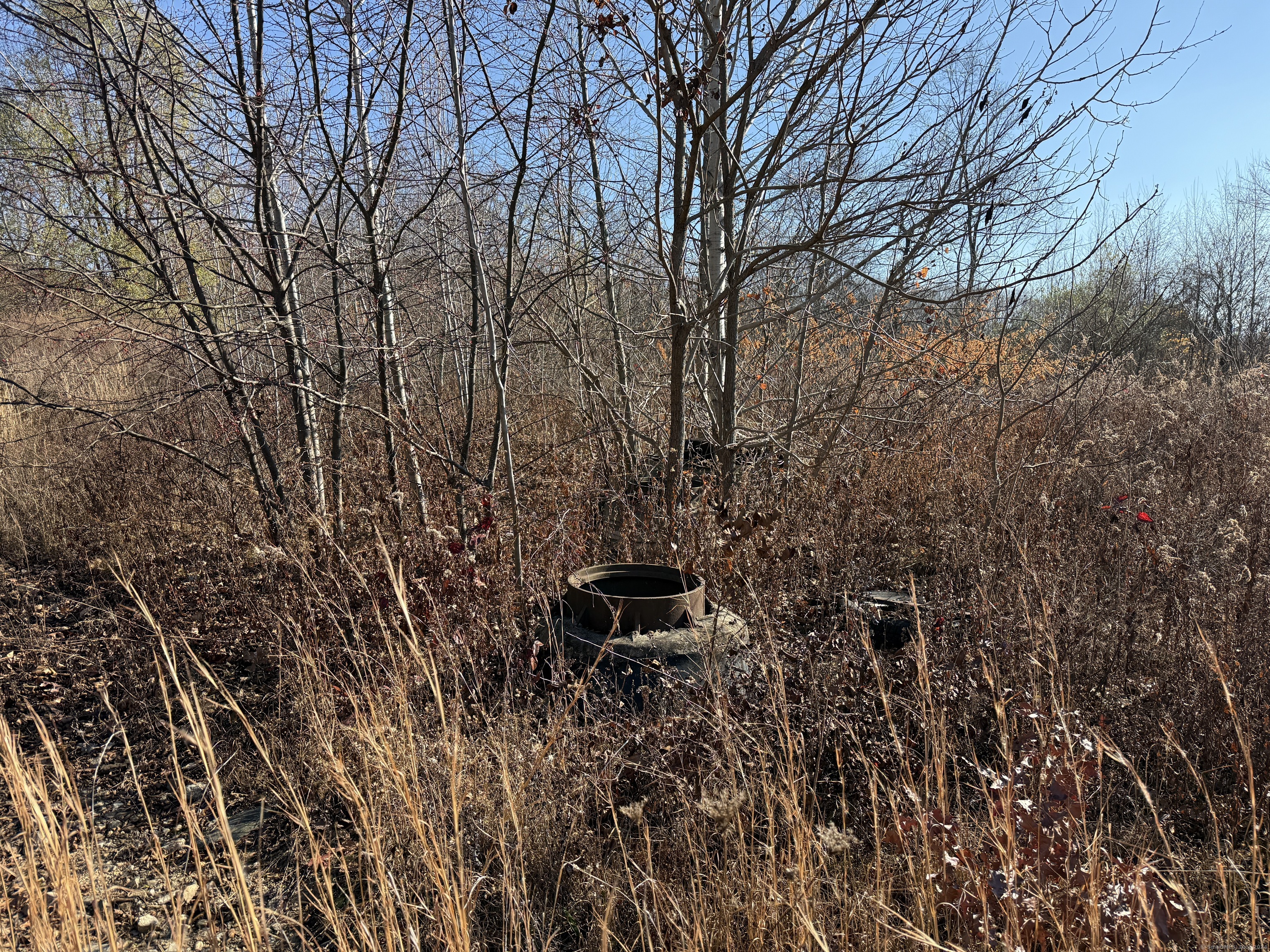 Mill Plain Avenue, Waterbury, Connecticut image 11
