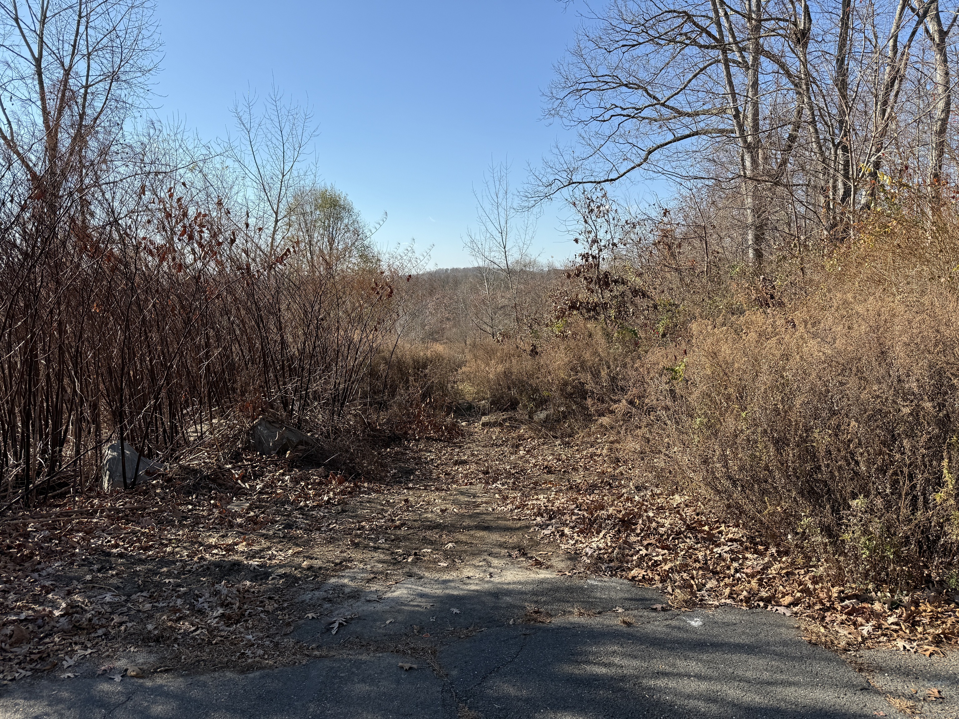 Mill Plain Avenue, Waterbury, Connecticut image 3