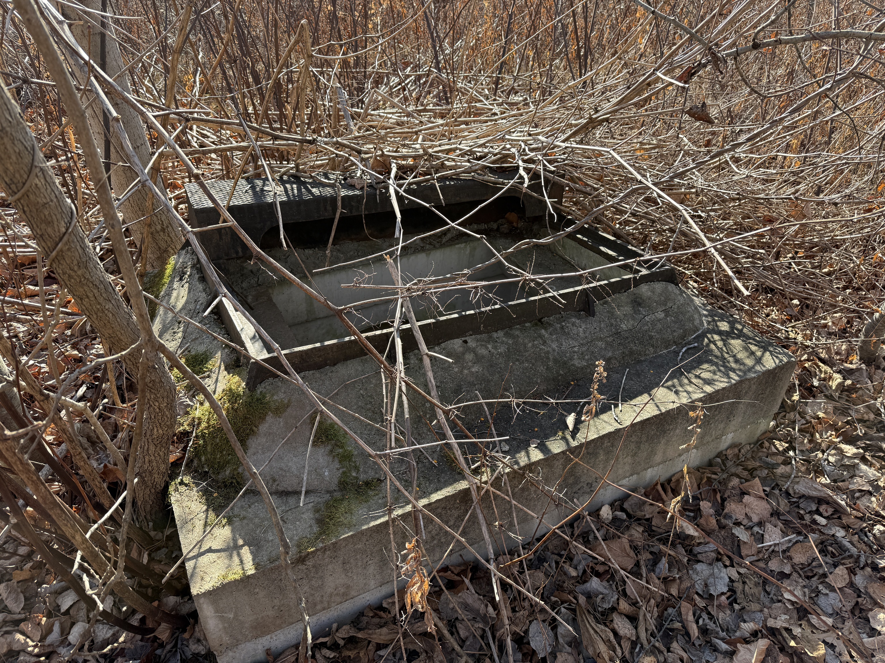 Mill Plain Avenue, Waterbury, Connecticut image 9