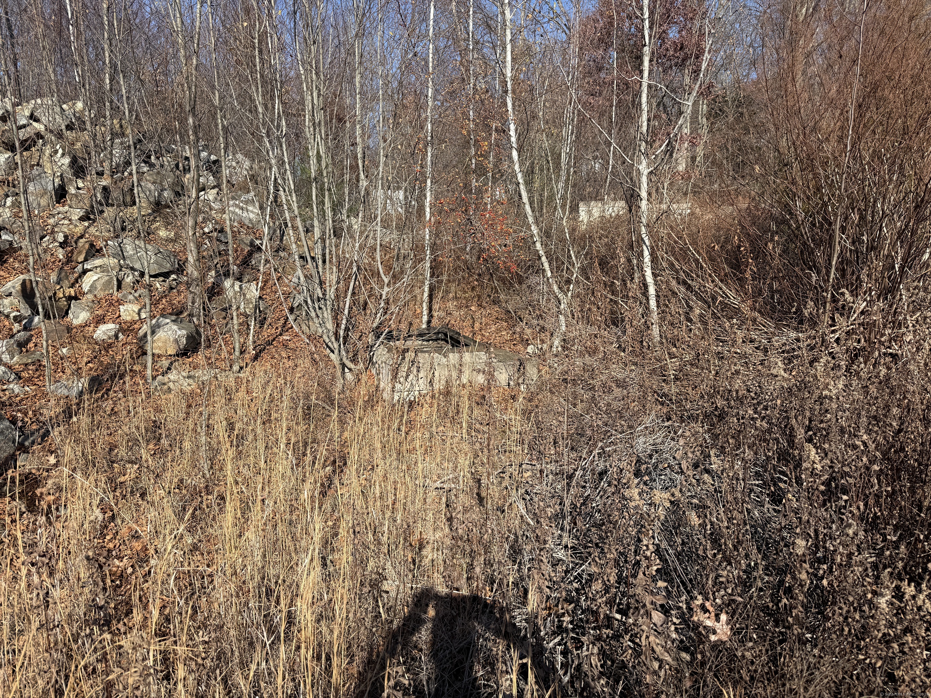 Mill Plain Avenue, Waterbury, Connecticut image 15