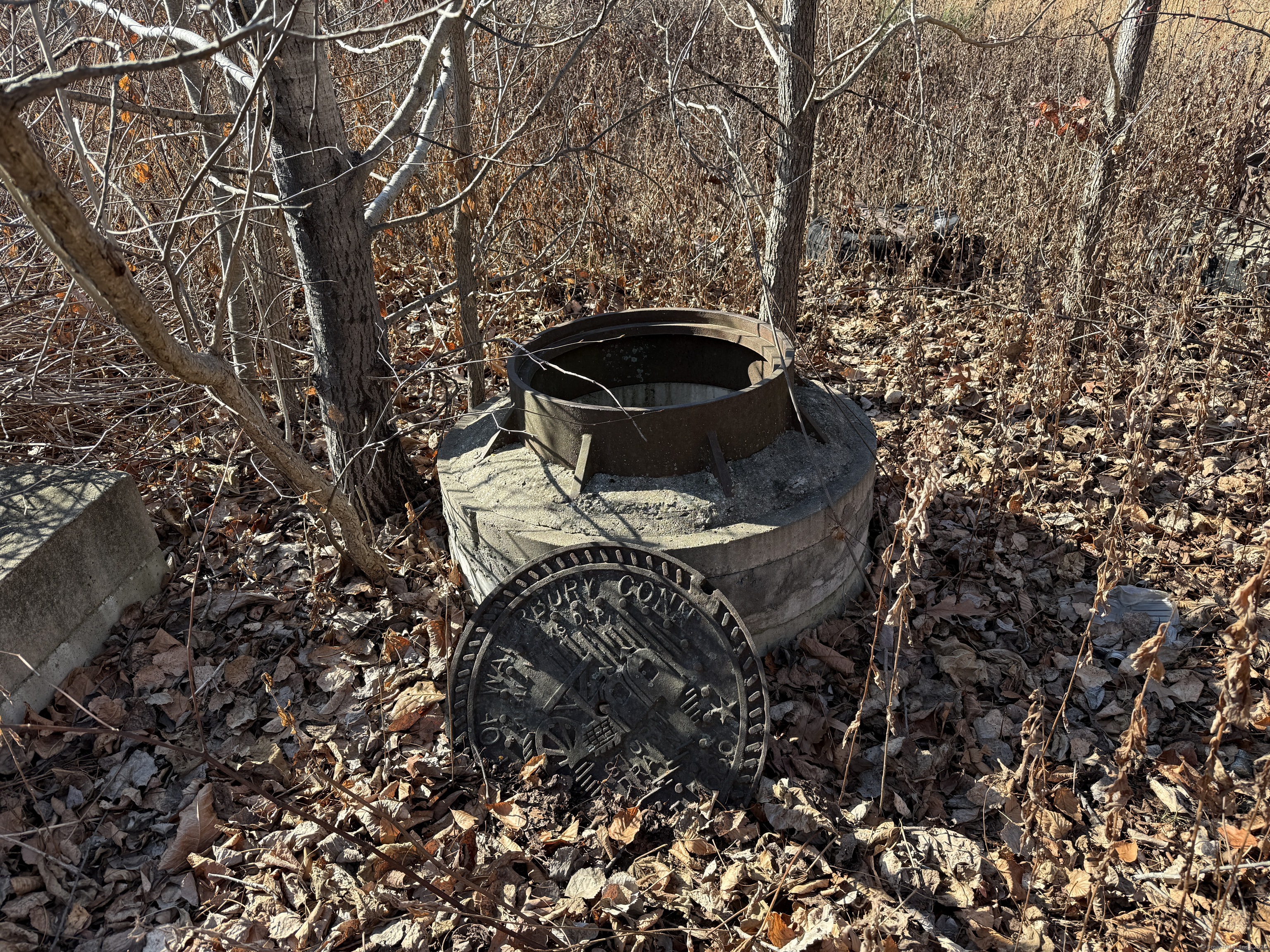 Mill Plain Avenue, Waterbury, Connecticut image 7
