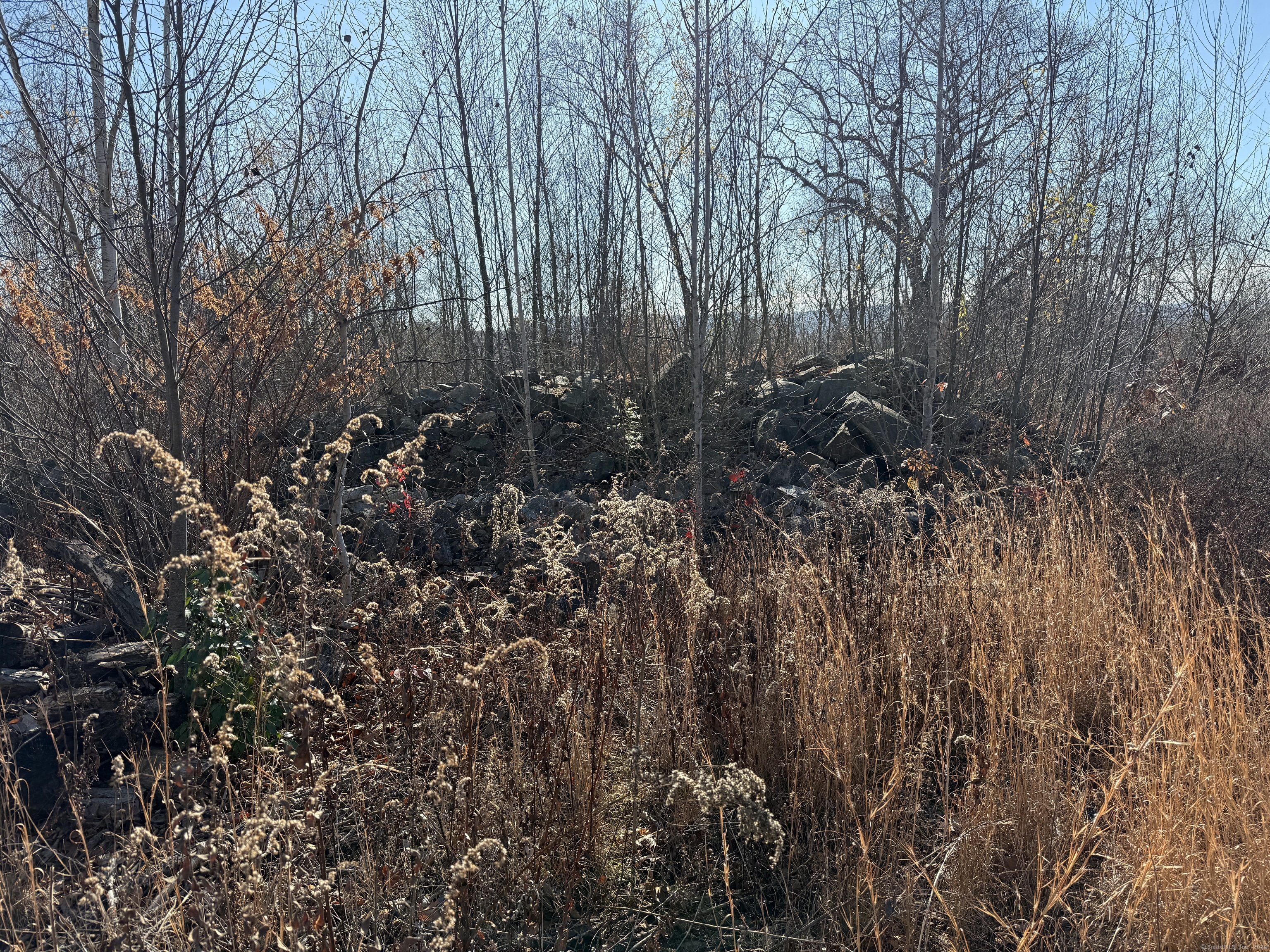 Mill Plain Avenue, Waterbury, Connecticut image 13