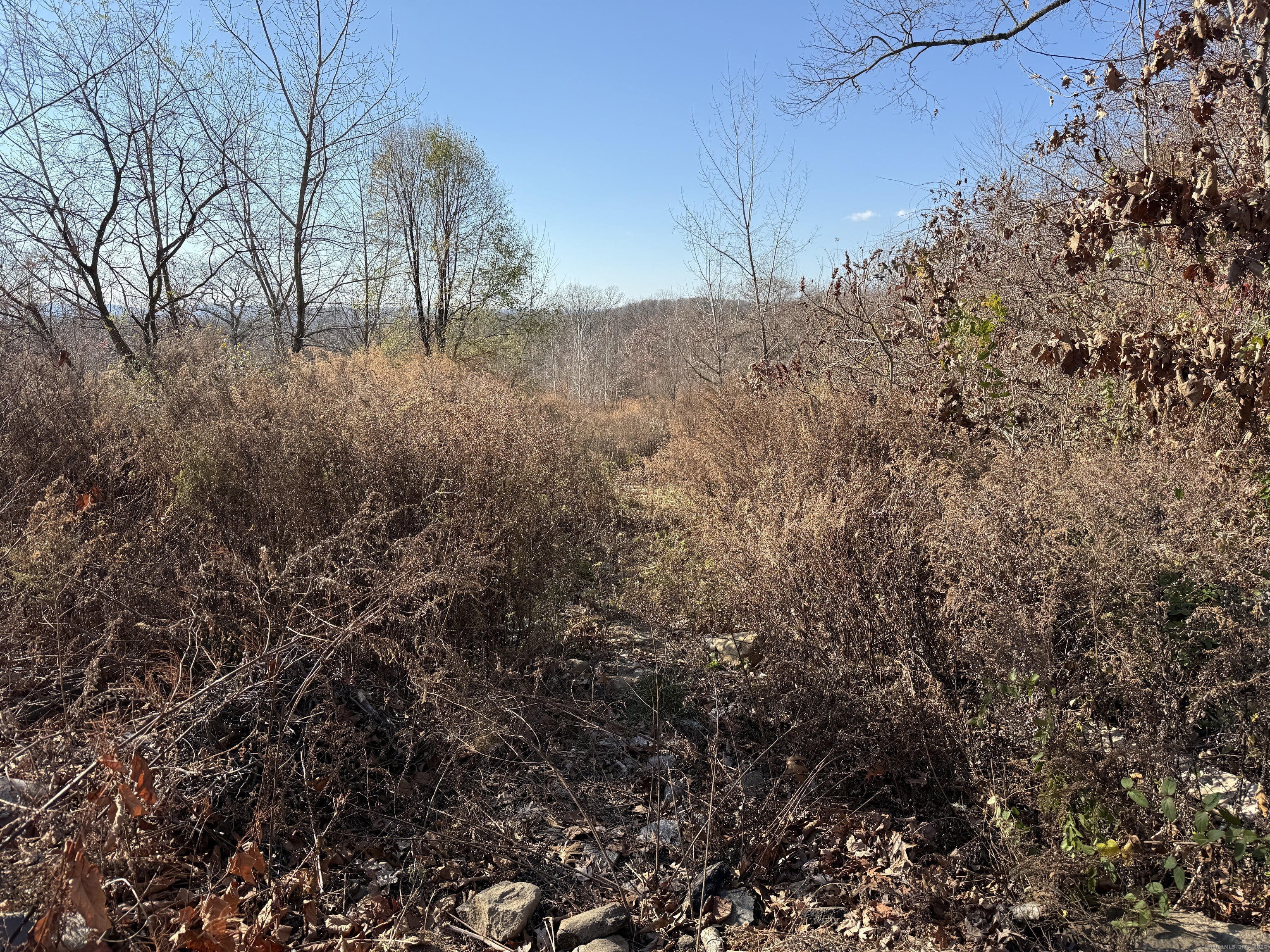 Mill Plain Avenue, Waterbury, Connecticut image 4