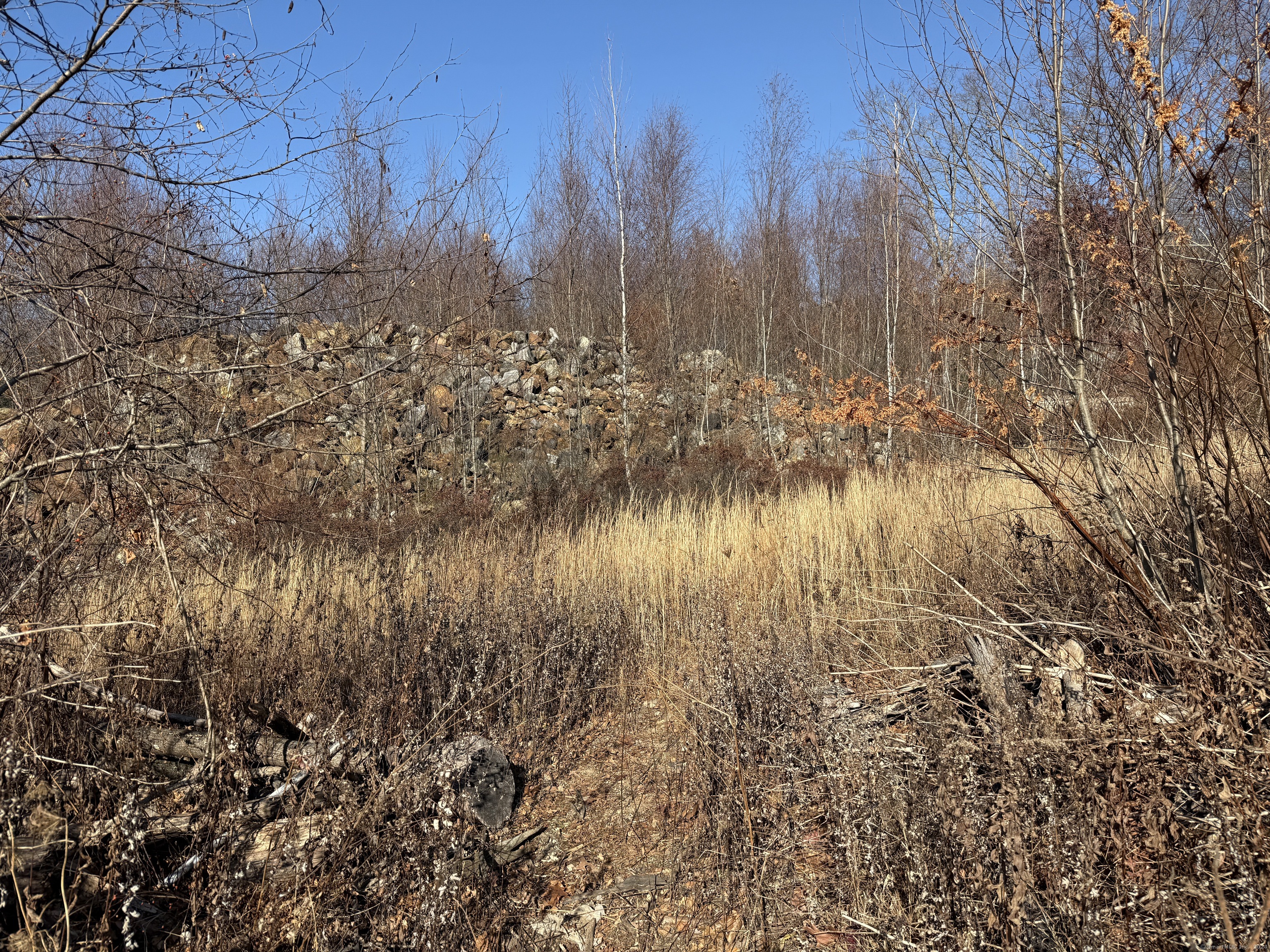 Mill Plain Avenue, Waterbury, Connecticut image 14