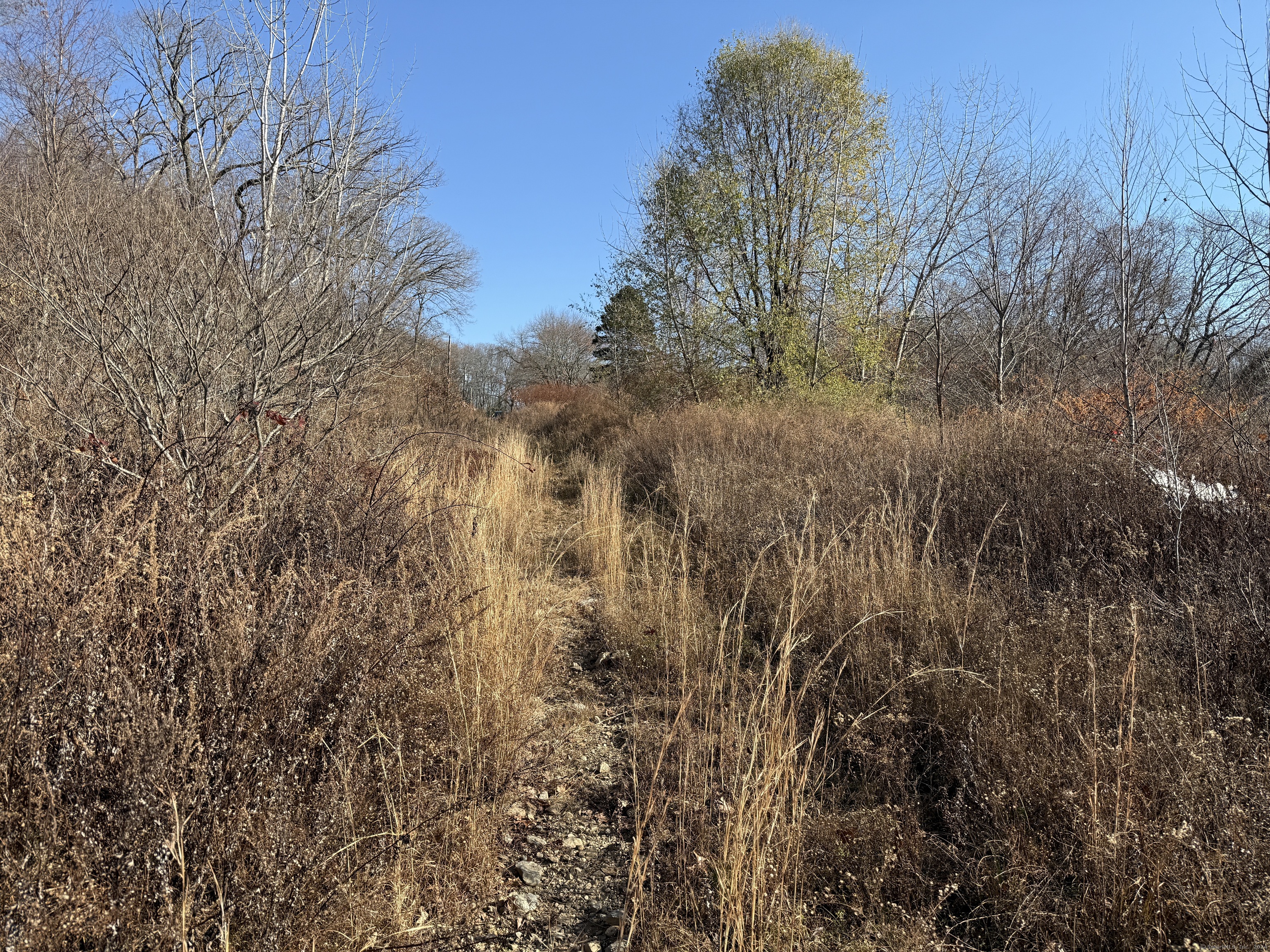 Mill Plain Avenue, Waterbury, Connecticut image 6