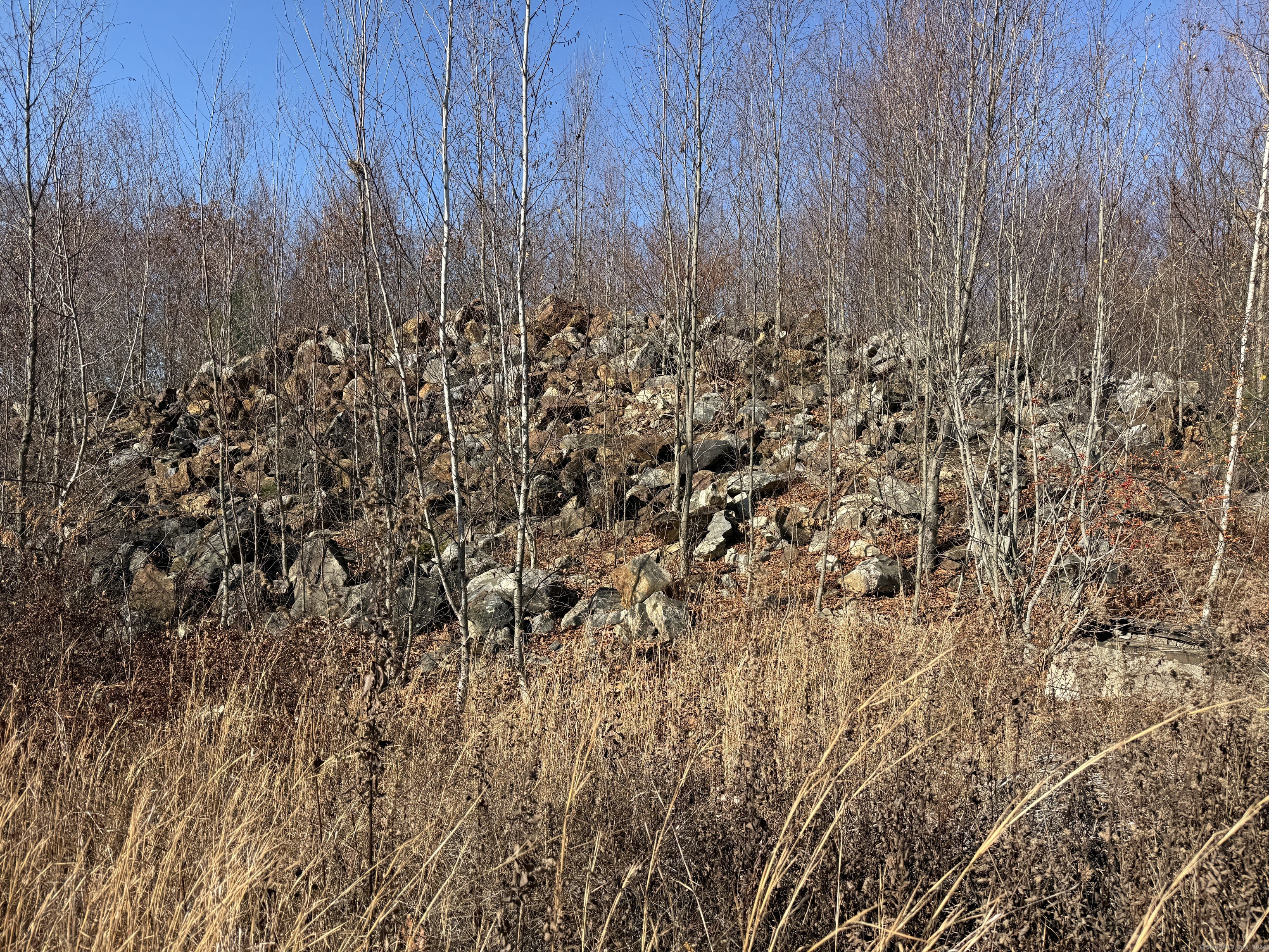 Mill Plain Avenue, Waterbury, Connecticut image 12