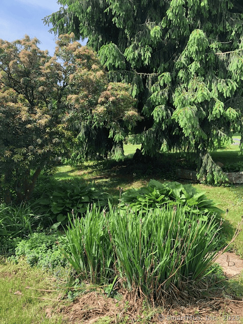 1066 Washington Street, Middletown, Connecticut image 39