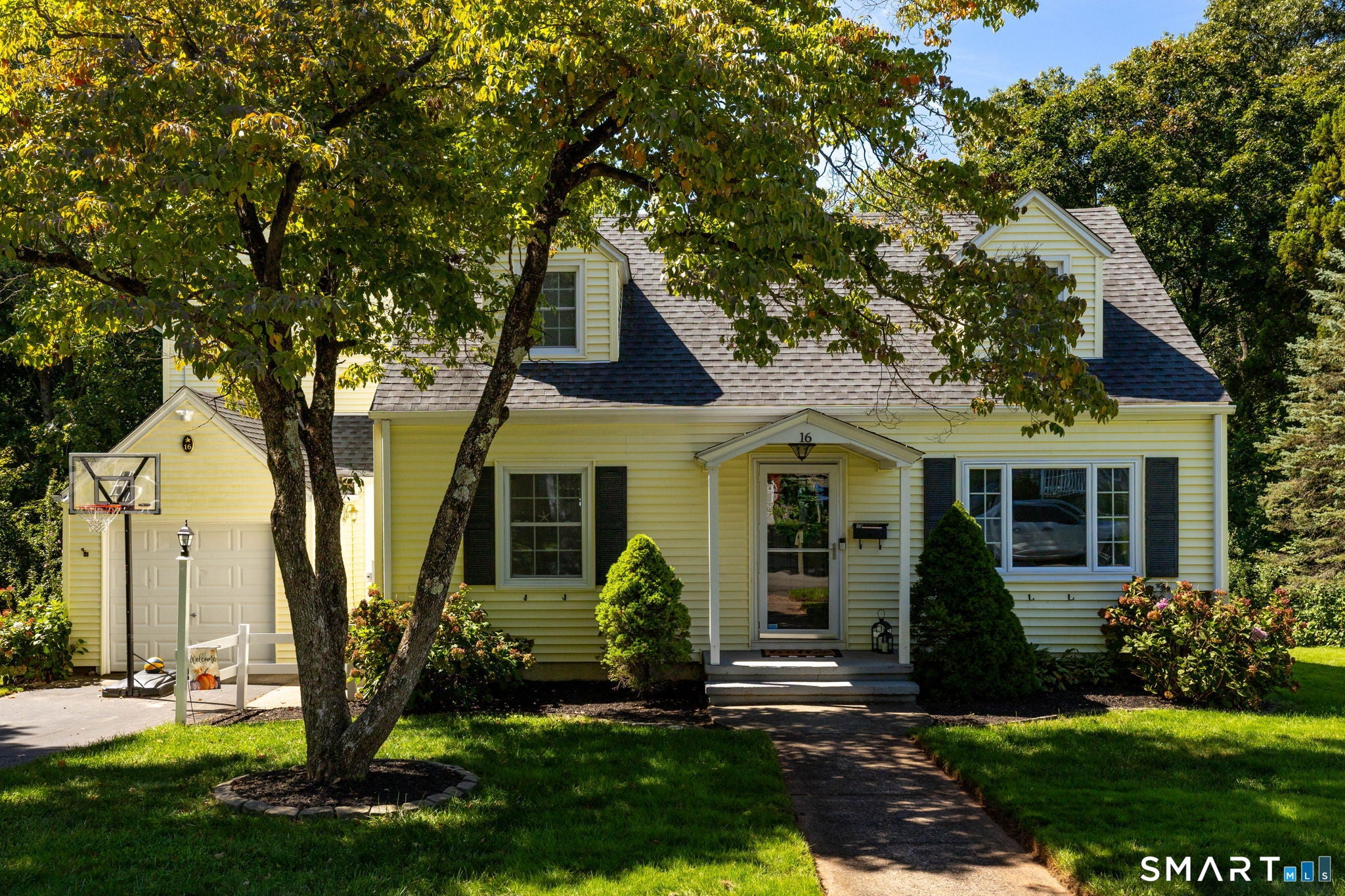 16 Dorrance Place