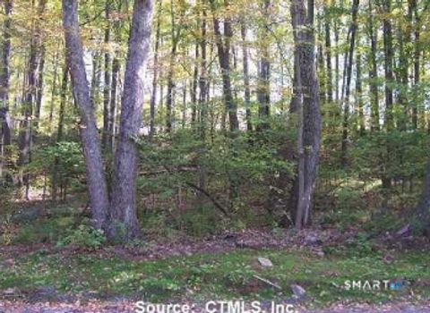 Photo of 254 Stoddard Road, Morris, CT 06763 (MLS # 24164694)