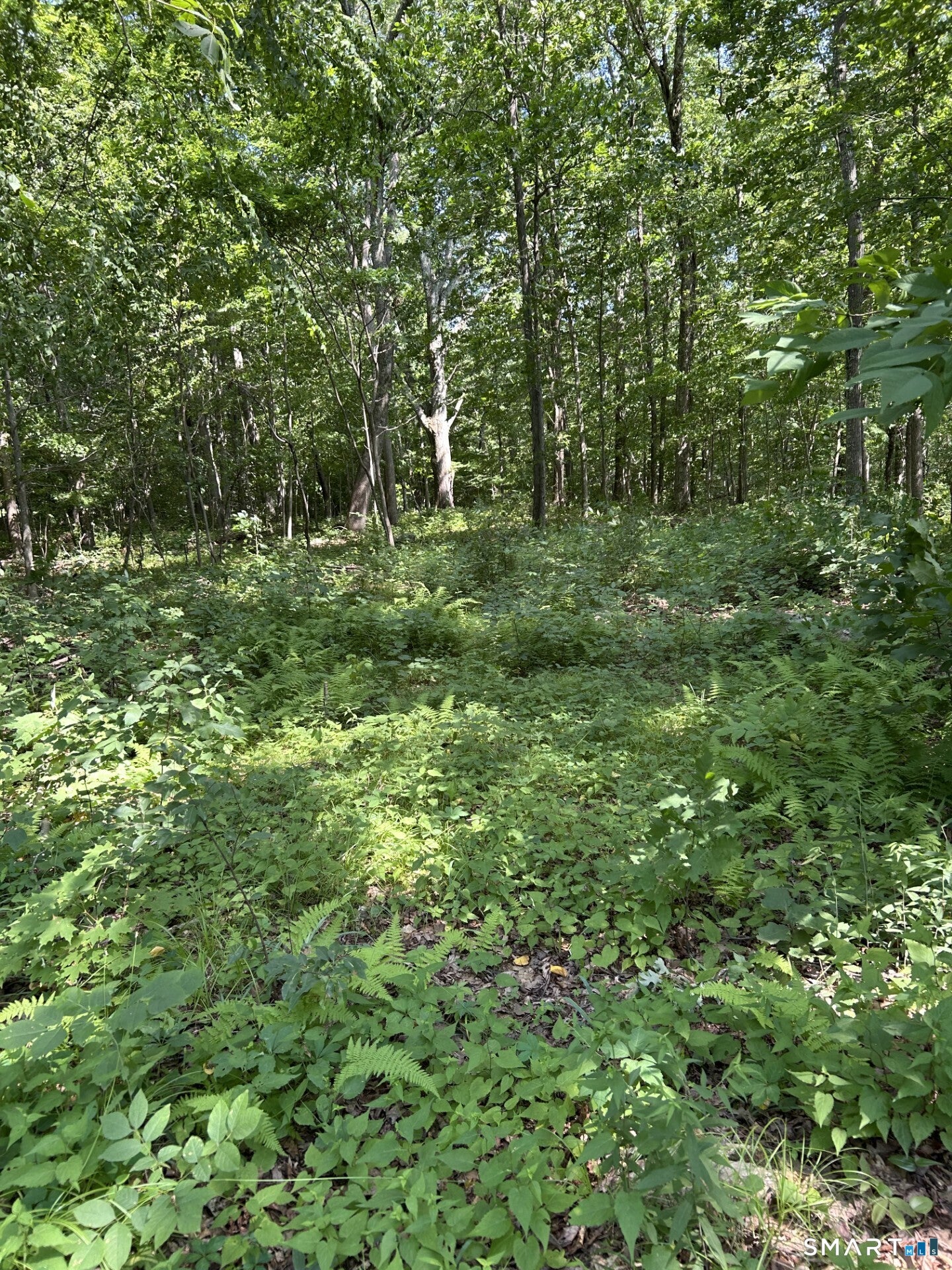 Pond Meadow Road 00