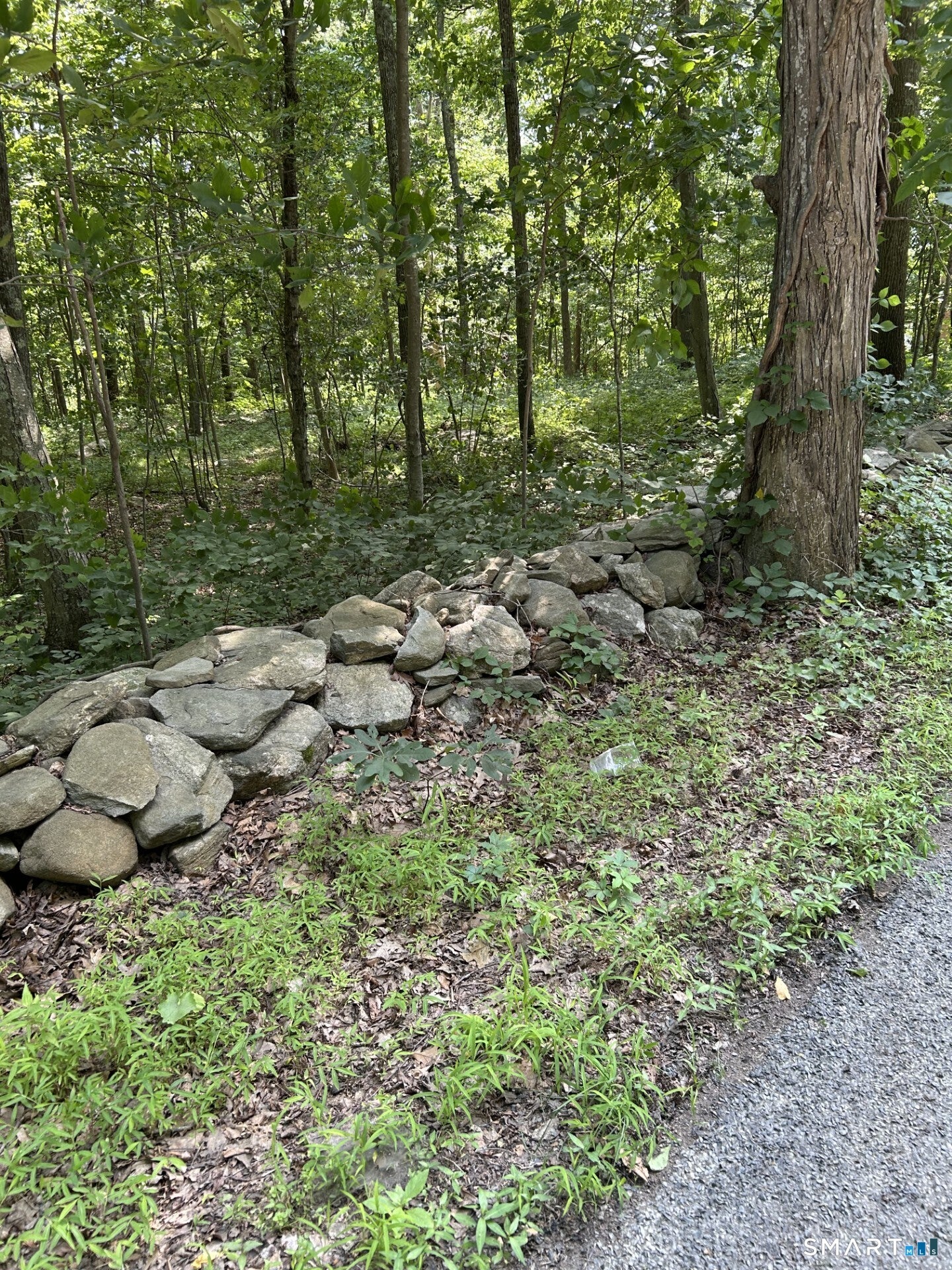 Pond Meadow Road 00