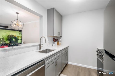 Tiny photo for 153 Willow Springs #153, New Milford, CT 06776 (MLS # 24196922)