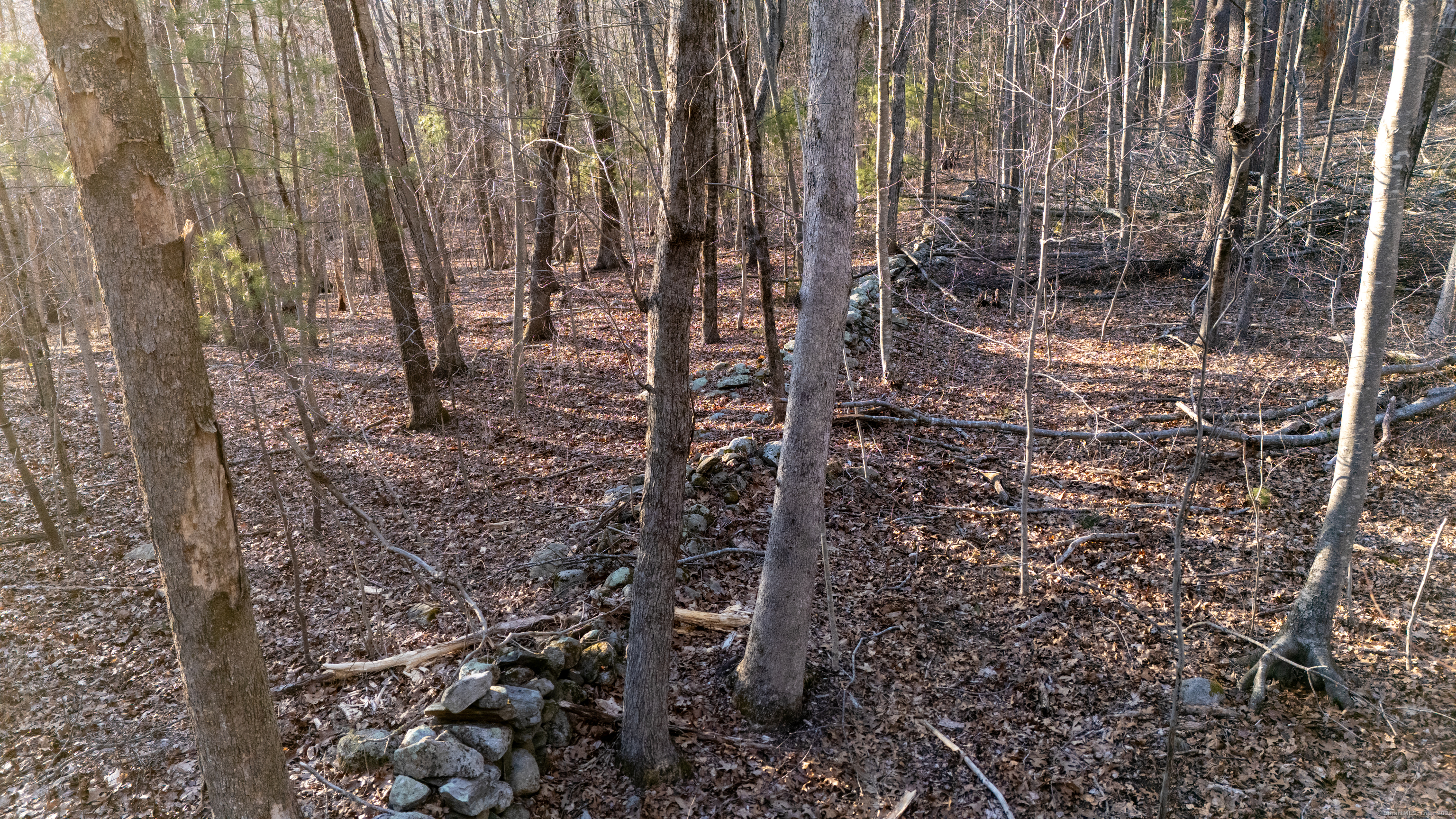138 Brainard Road, Colchester, Connecticut image 2