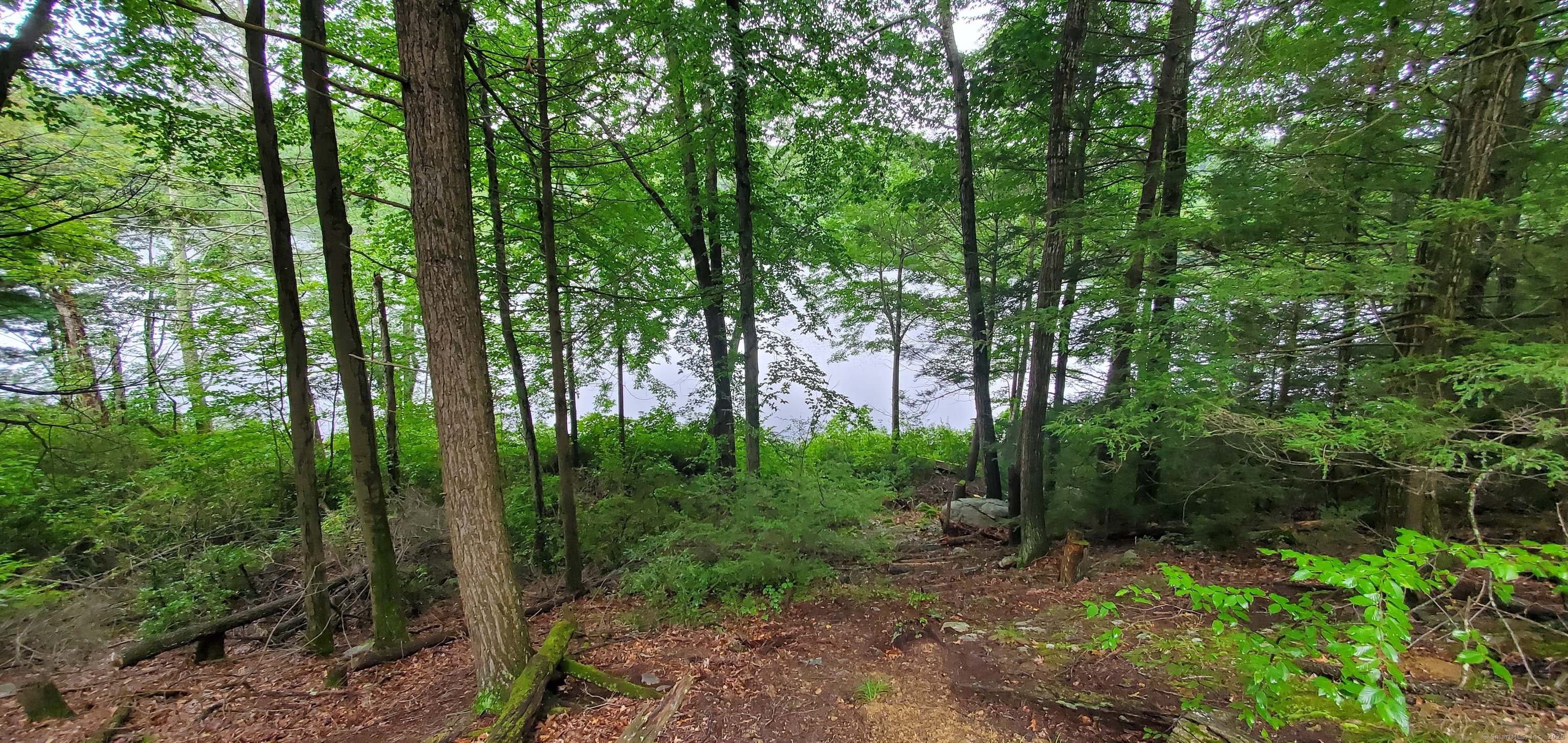 00 Child Road, Woodstock, Connecticut image 3