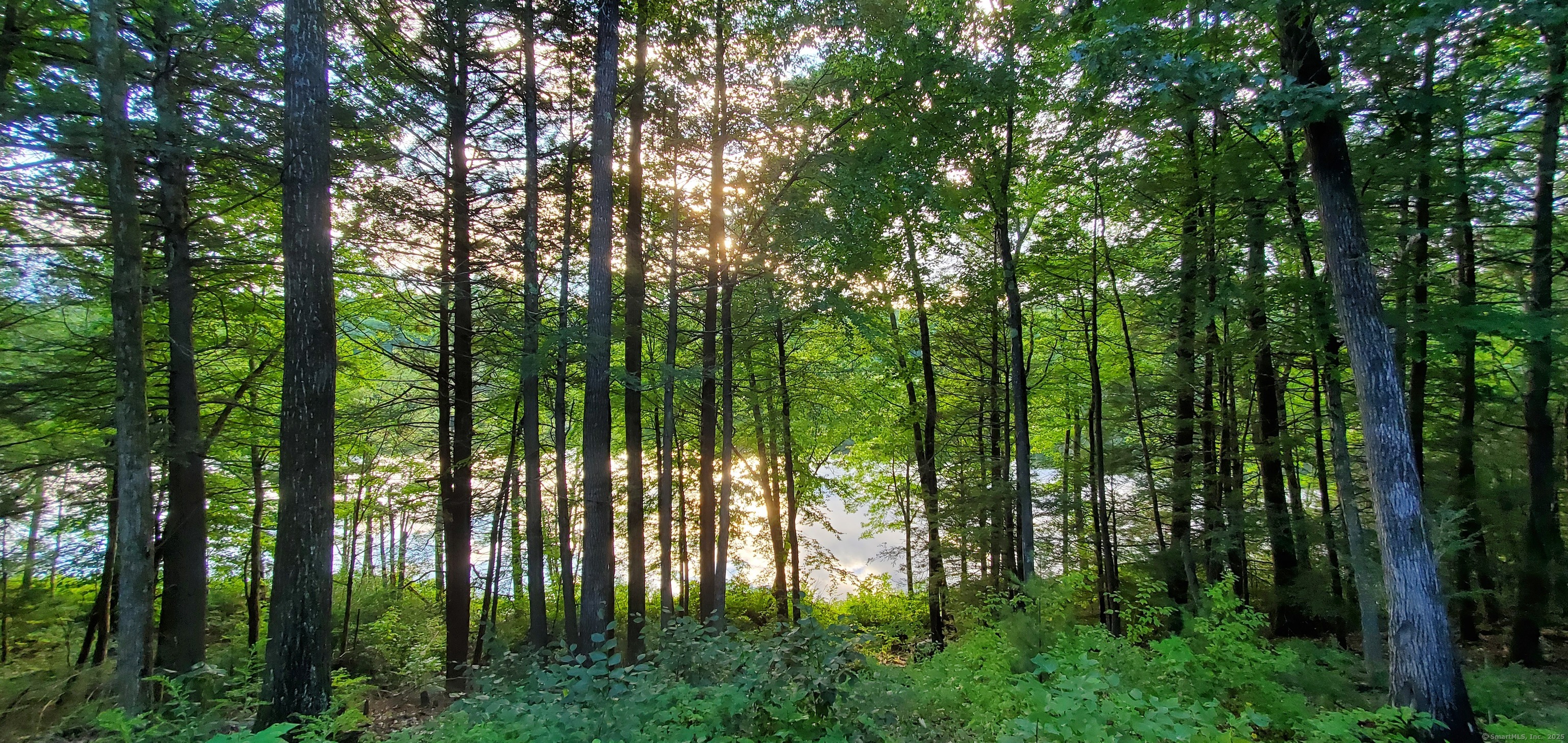 00 Child Road, Woodstock, Connecticut image 9