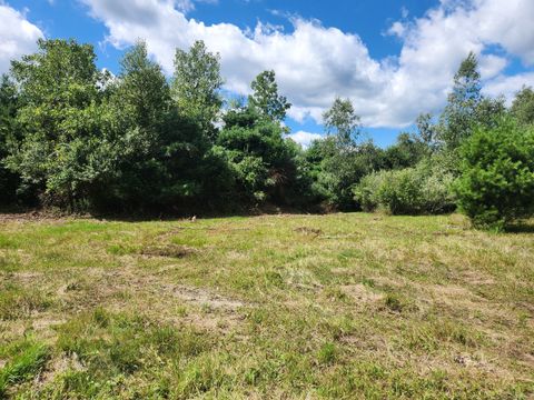 Tiny photo for 83 River Road, Willington, CT 06279 (MLS # 24176620)