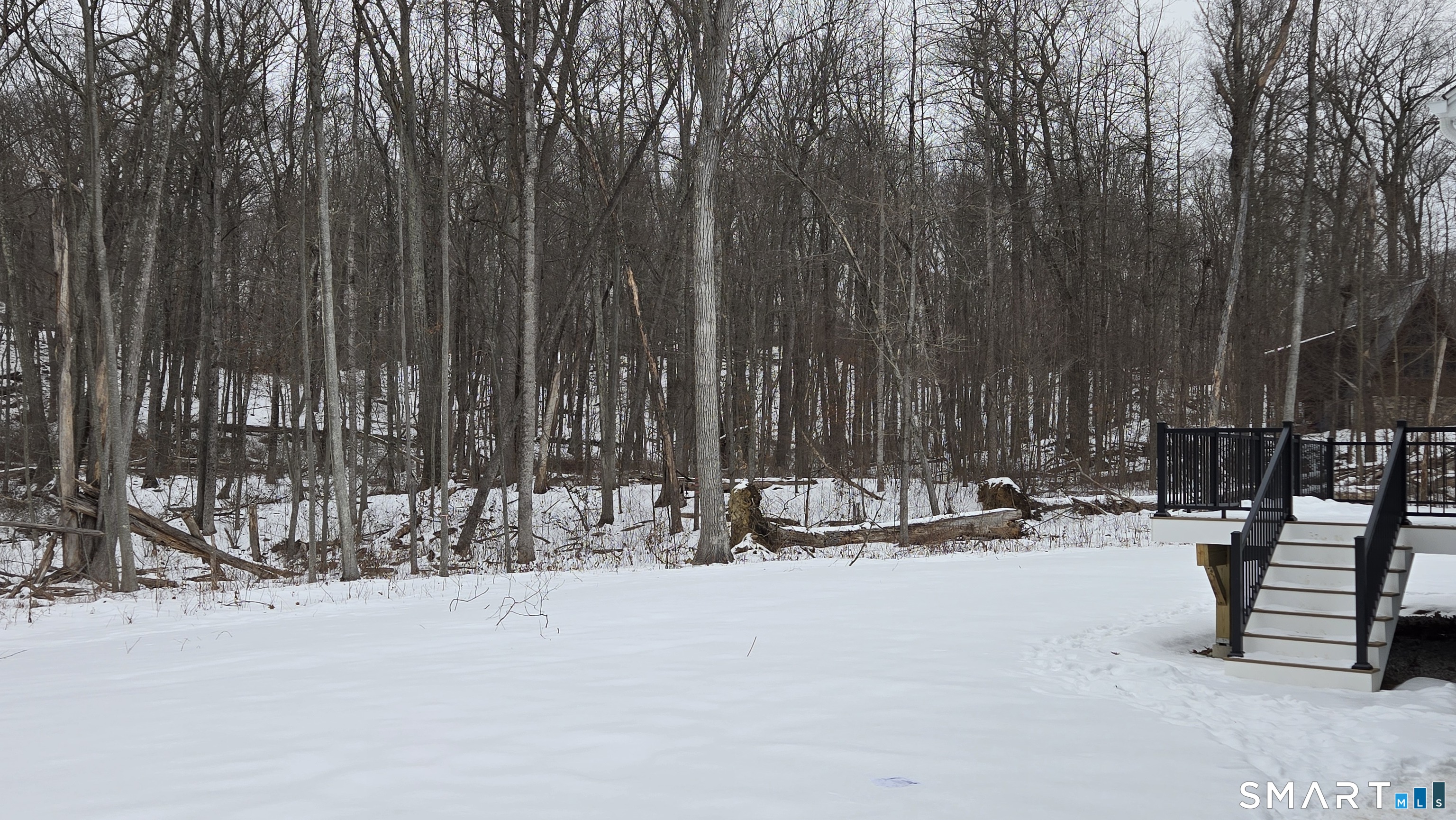 16 Daniels Hill Road