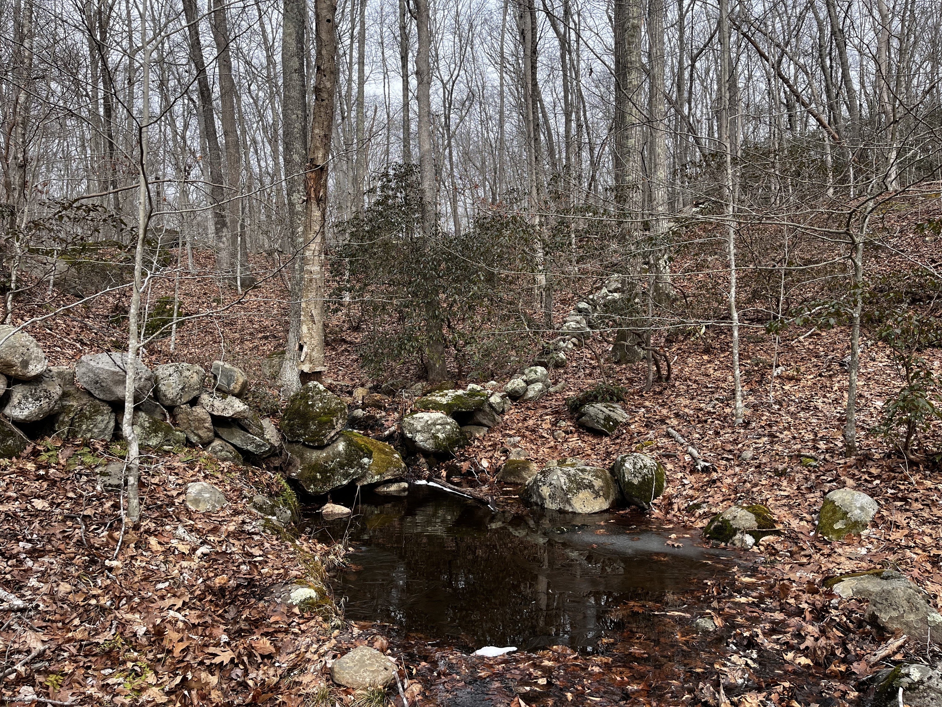 43-2 Saunders Hollow Road, Old Lyme, Connecticut image 7