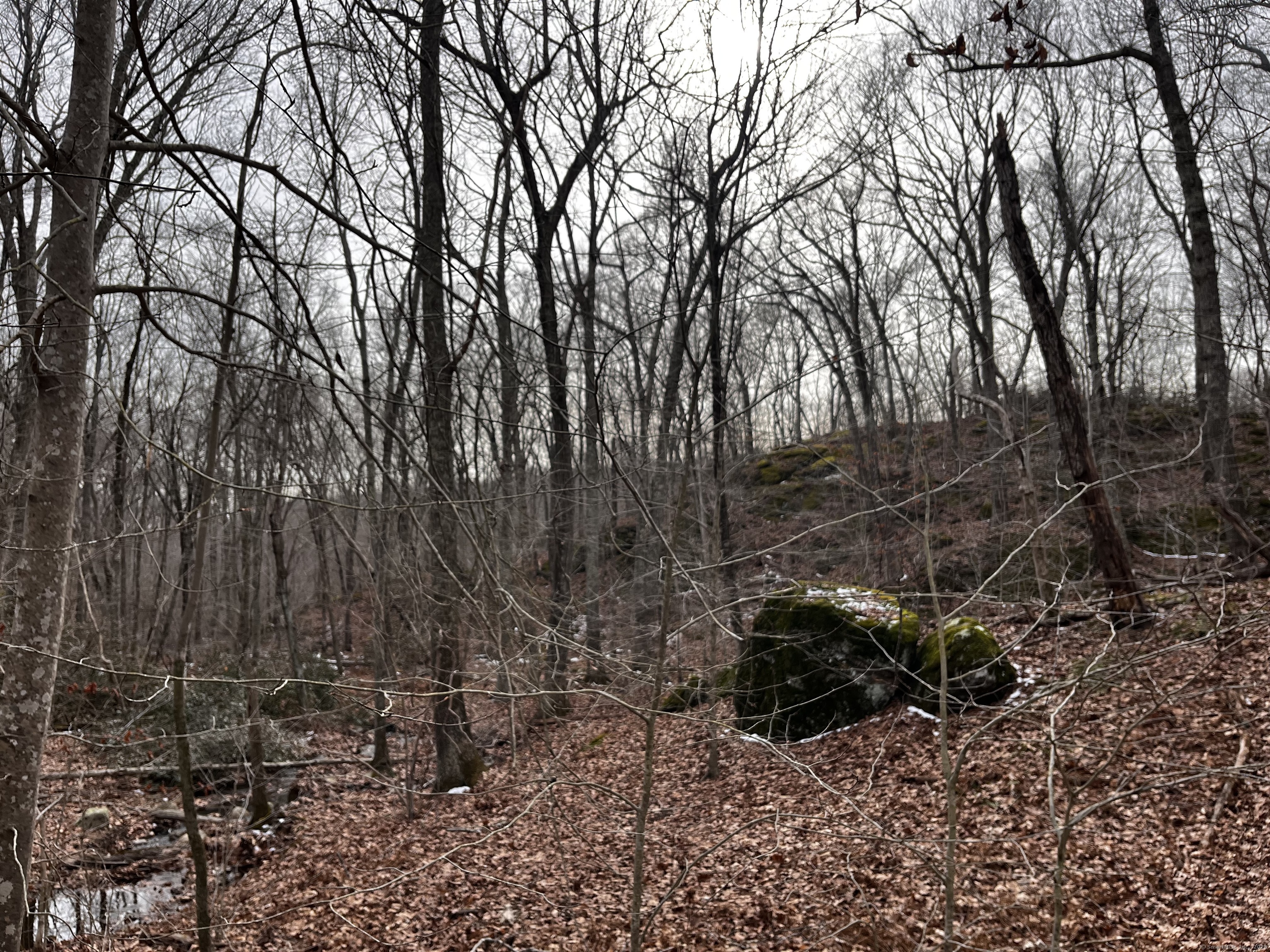 43-2 Saunders Hollow Road, Old Lyme, Connecticut image 6