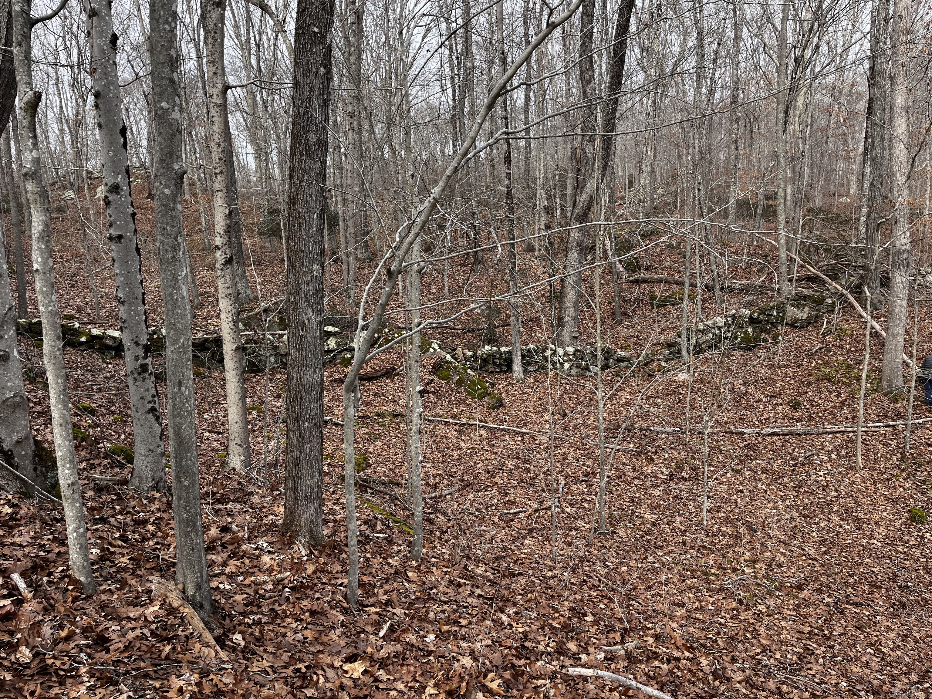 43-2 Saunders Hollow Road, Old Lyme, Connecticut image 2