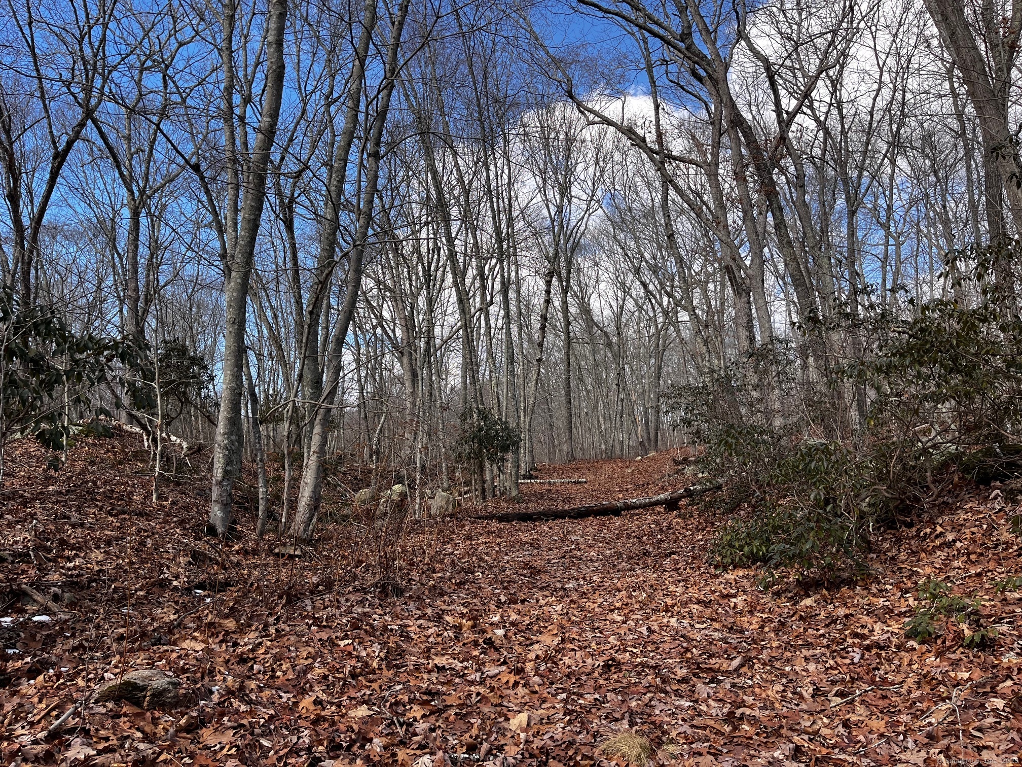 43-2 Saunders Hollow Road, Old Lyme, Connecticut image 1